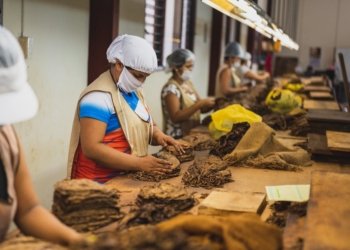 Check Out This Article On Acupuncture That Offers Many Great Tips