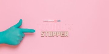 Everything You Wanted To Know About Health Insurance