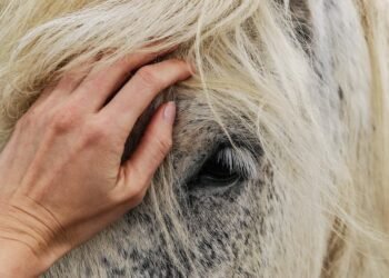 Hair Care Tips You Should Try Out Today!