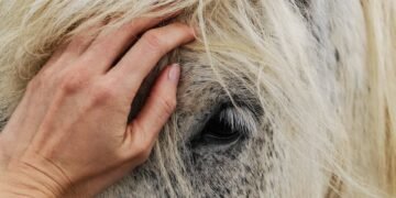 Hair Care Tips You Should Try Out Today!